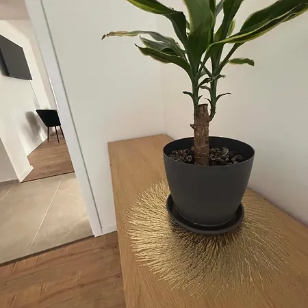 Mina Lak * 米什科尔茨